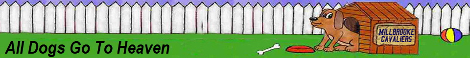 All Dogs Go To Heaven