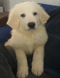 Click Here For A Bigger Picture!