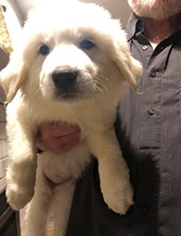 Click Here For A Bigger Picture!