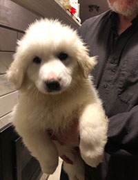 Click Here For A Bigger Picture!