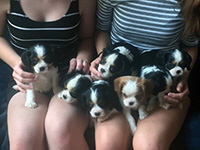 Click here for a larger image of the group!