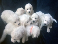 Click here for a larger image of the group!