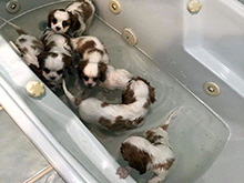 Click here for a larger image...