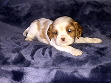 Click here for a larger image...