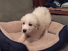 Click here for a larger image...