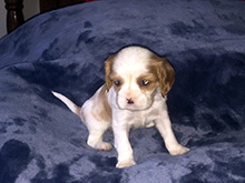 Click here for a larger image...