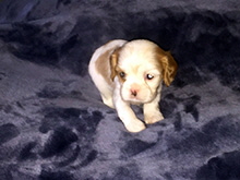 Click here for a larger image...