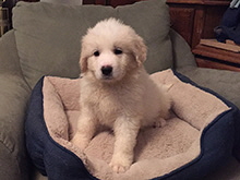 Click here for a larger image...