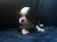 Click here for a larger image of Sally!