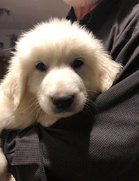 Click Here For A Bigger Picture!