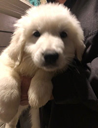 Click Here For A Bigger Picture!